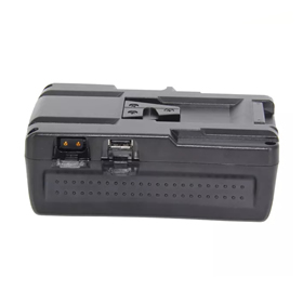 BP-190WS Batterie per Sony Videocamere